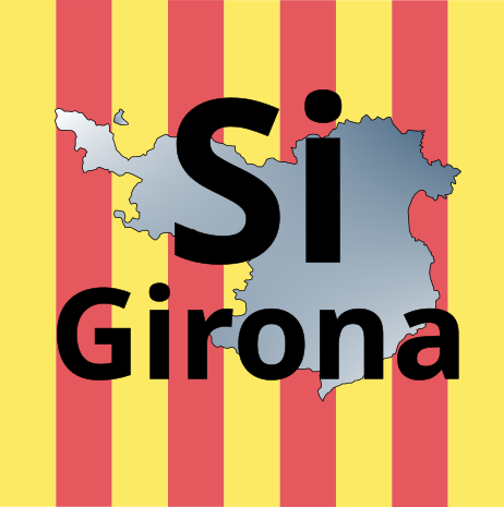 Silicon Girona